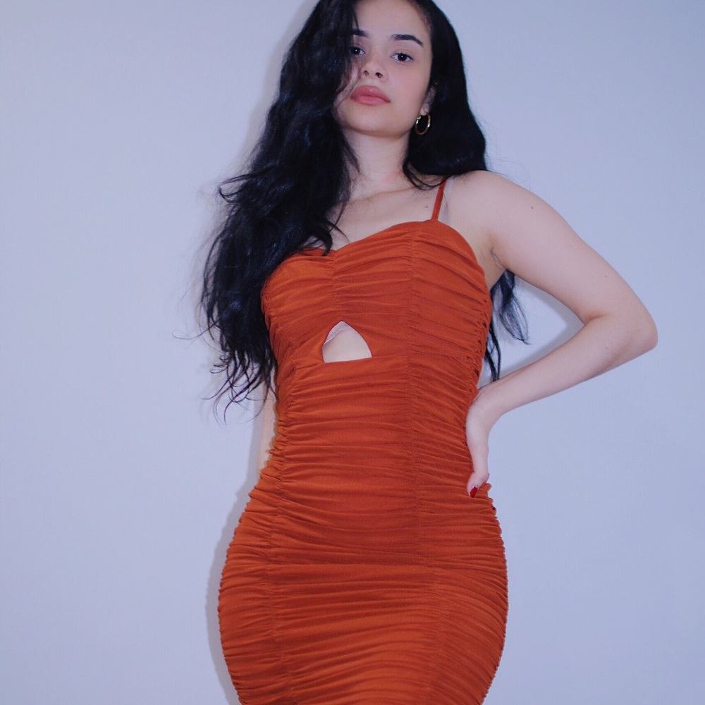 Selena Rust Midi Dress.